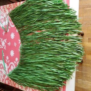 Vintage Hawaiian Grass Skirt